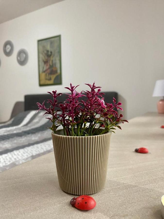 Cozy Apartment Ladybug, Saraybosna Dış mekan fotoğraf